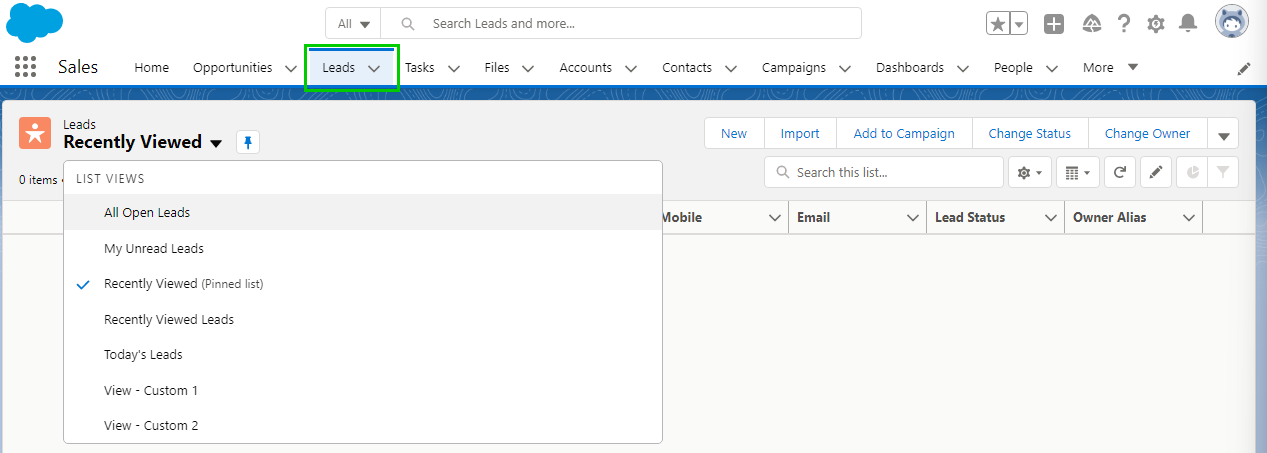 Salesforce_Leads_View.png