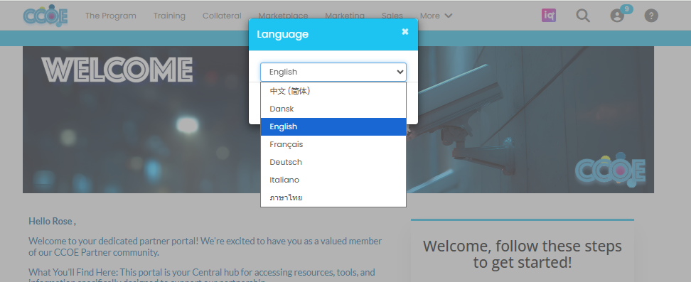 portal_language_choose.png